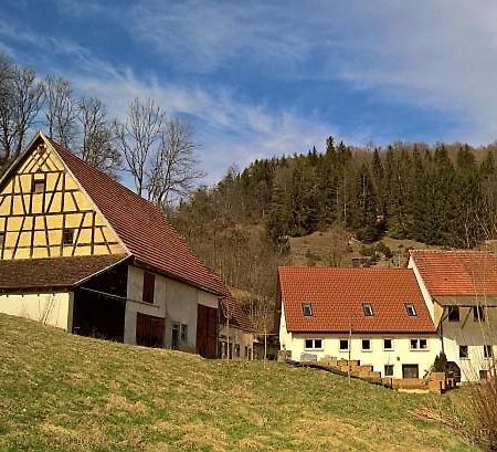 Gundershofen Muehlenchaletヴィラ エクステリア 写真